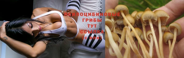 винт Медногорск