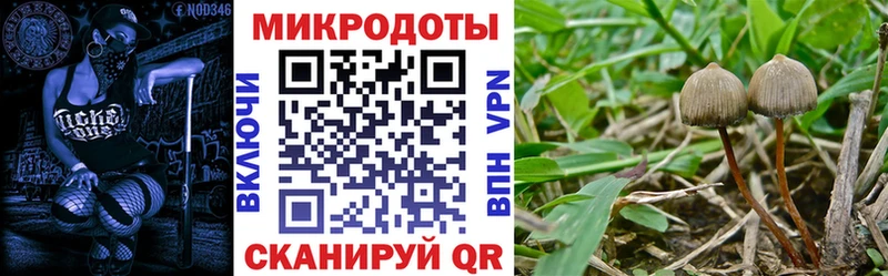 Псилоцибиновые грибы ЛСД  Назарово 